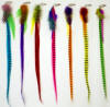 Feather Hair Extensions