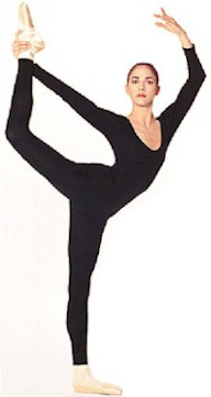 Long Sleeve Footless Unitard - Kids $30.95