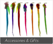 Accessories and Gifts